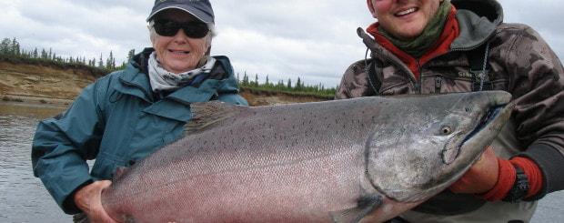 King Salmon on the fly
