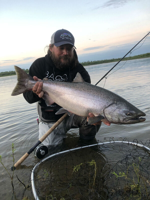 Nushagak River King Salmon caught on a Spey Rod