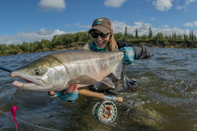Chum Salmon caught on the Alagnak River