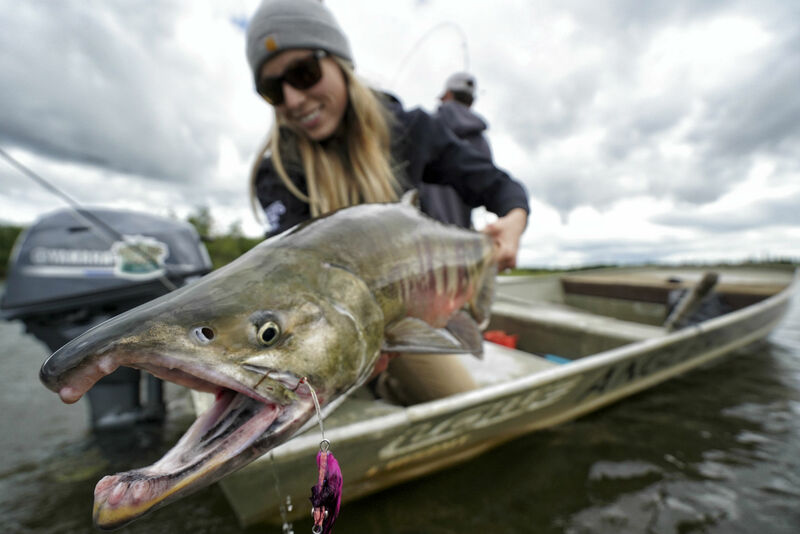 Angler's Alibi, Alaska - Chum Salmon