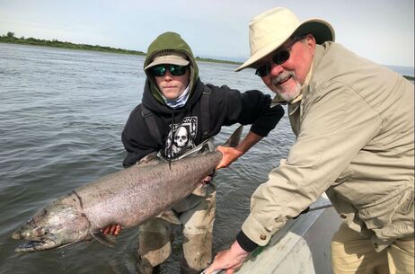 Beautiful King Salmon caught at Angler's Alibi Nushagak River King CampPicture