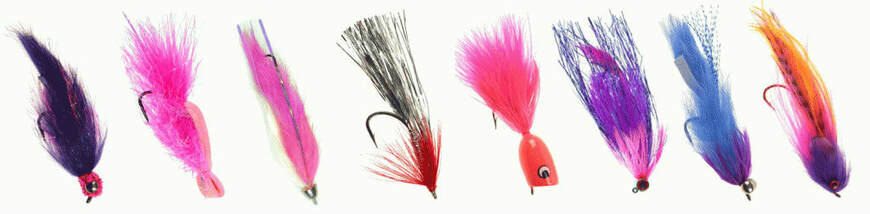 Silver Salmon Fly Patterns