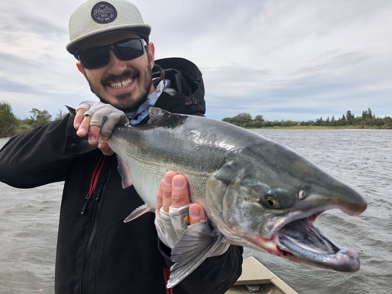 Silver Salmon caught on the Alagnak River