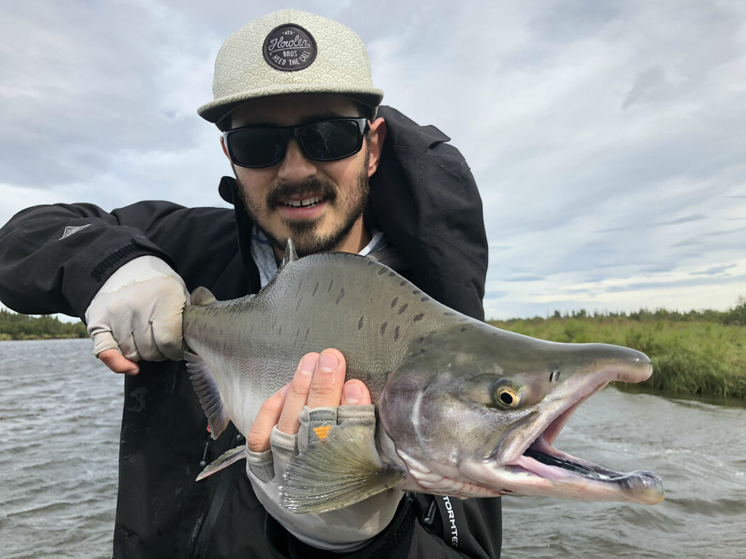 Pink Salmon Fishing on the Alagnak River - ANGLER'S ALIBI