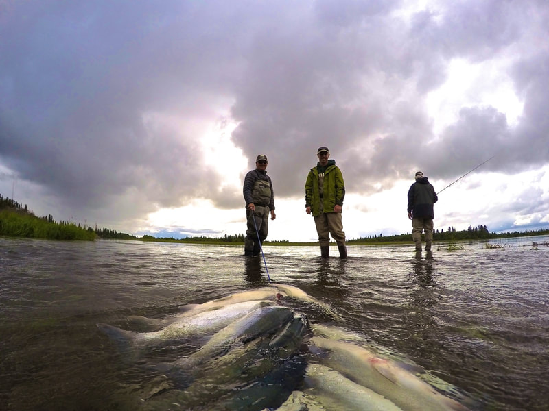 Alaska Fly Fishing for Salmon